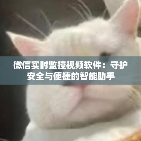 微信实时监控视频软件：守护安全与便捷的智能助手