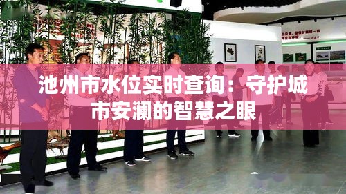 池州市水位实时查询：守护城市安澜的智慧之眼