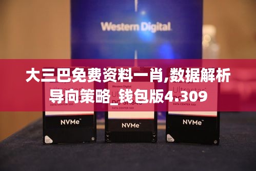 大三巴免费资料一肖,数据解析导向策略_钱包版4.309