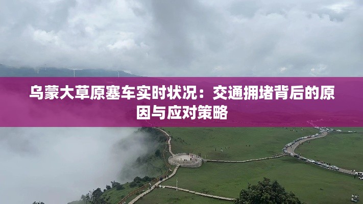 乌蒙大草原塞车实时状况：交通拥堵背后的原因与应对策略