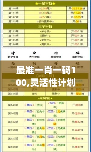 最准一肖一码100,灵活性计划实施_DX版18.228