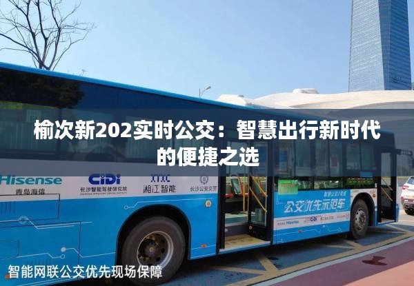 弃文就武 第4页