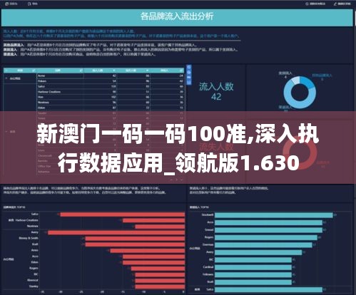 新澳门一码一码100准,深入执行数据应用_领航版1.630