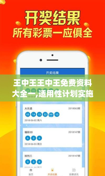 王中王王中王免费资料大全一,适用性计划实施_微型版6.553