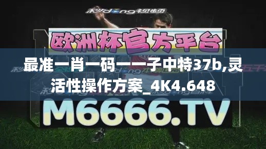 最准一肖一码一一子中特37b,灵活性操作方案_4K4.648