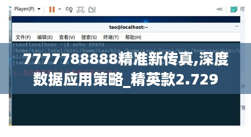 7777788888精准新传真,深度数据应用策略_精英款2.729