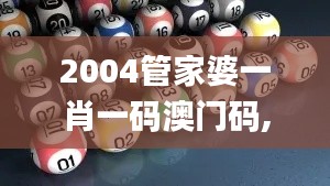 2004管家婆一肖一码澳门码,合理决策执行审查_进阶版4.943