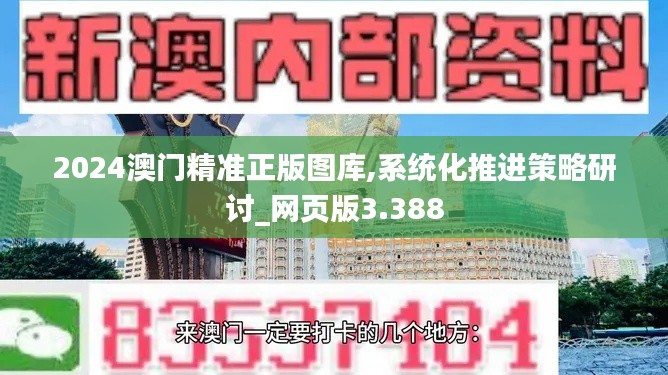 2024澳门精准正版图库,系统化推进策略研讨_网页版3.388