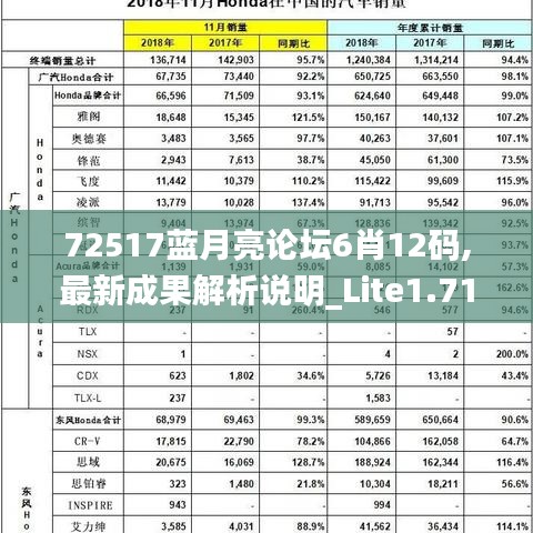 72517蓝月亮论坛6肖12码,最新成果解析说明_Lite1.714