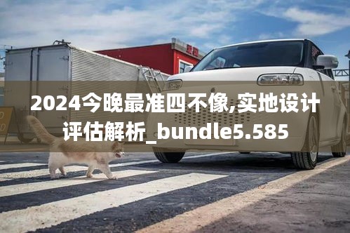 2024今晚最准四不像,实地设计评估解析_bundle5.585
