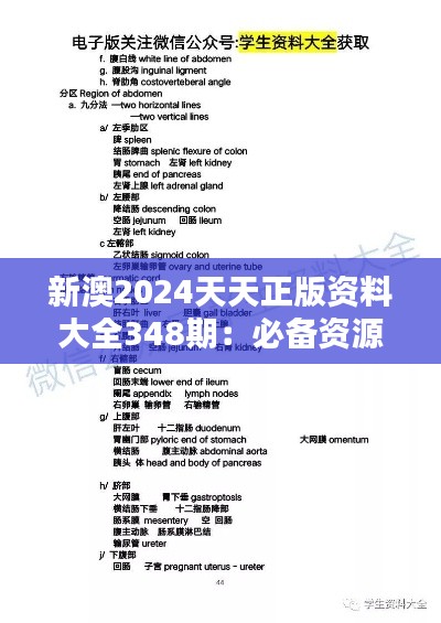 噩噩浑浑 第4页