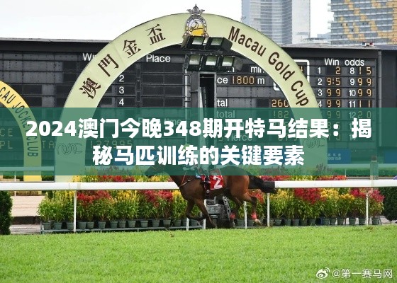 2024澳门今晚348期开特马结果：揭秘马匹训练的关键要素