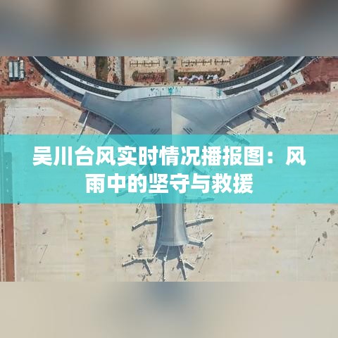 吴川台风实时情况播报图：风雨中的坚守与救援