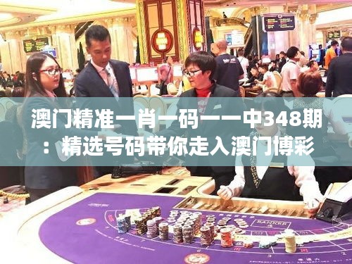 澳门精准一肖一码一一中348期：精选号码带你走入澳门博彩世界
