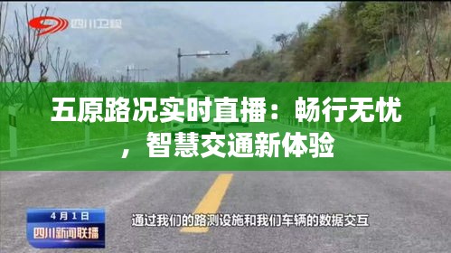 五原路况实时直播：畅行无忧，智慧交通新体验