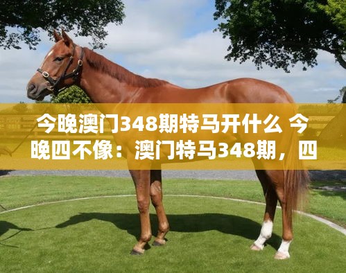 今晚澳门348期特马开什么 今晚四不像：澳门特马348期，四不像的猜想与期待