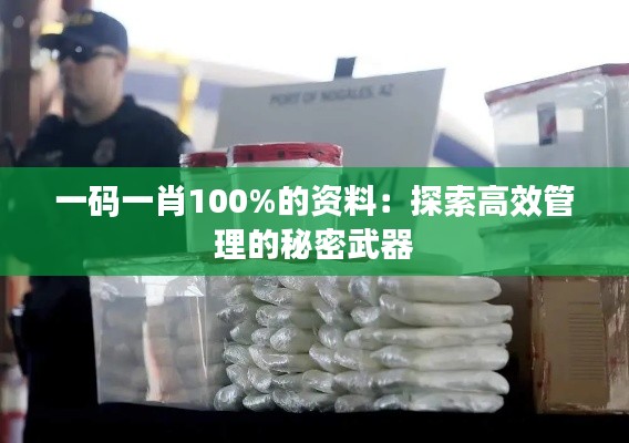 一码一肖100%的资料：探索高效管理的秘密武器