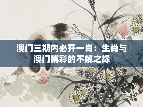 澳门三期内必开一肖：生肖与澳门博彩的不解之缘