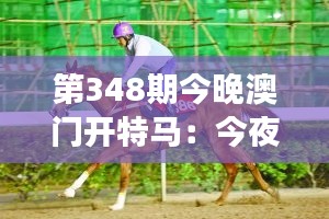 第348期今晚澳门开特马：今夜的澳门，赛马与梦想齐飞