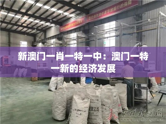 新澳门一肖一特一中：澳门一特一新的经济发展