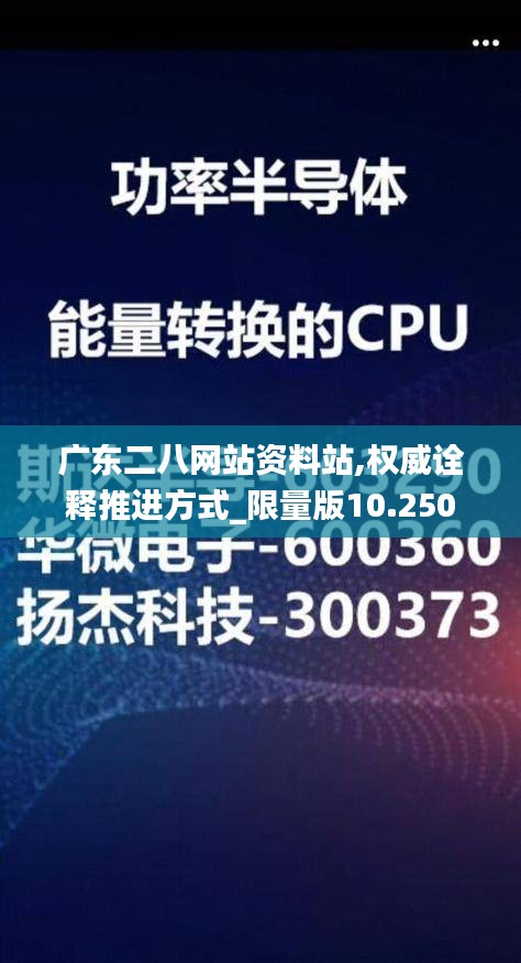 广东二八网站资料站,权威诠释推进方式_限量版10.250