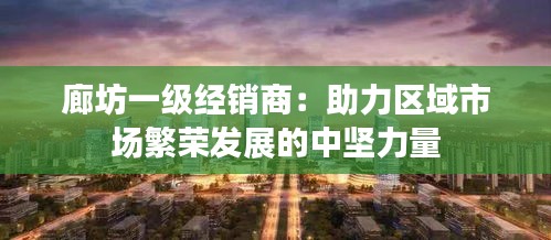 廊坊一级经销商：助力区域市场繁荣发展的中坚力量