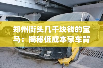 郑州街头几千块钱的宝马：揭秘低成本豪车背后的故事