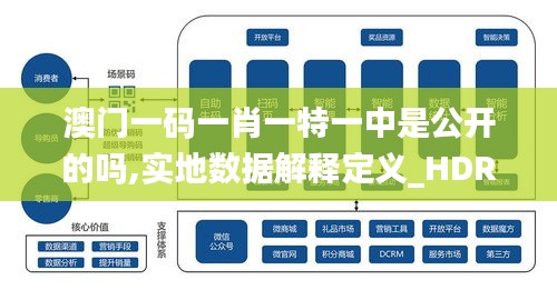 澳门一码一肖一特一中是公开的吗,实地数据解释定义_HDR9.475