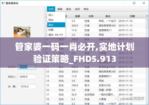 管家婆一码一肖必开,实地计划验证策略_FHD5.913