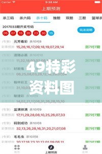 49特彩资料图今年,诠释分析定义_户外版6.873