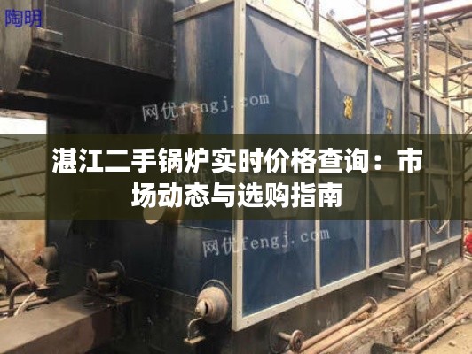 湛江二手锅炉实时价格查询：市场动态与选购指南