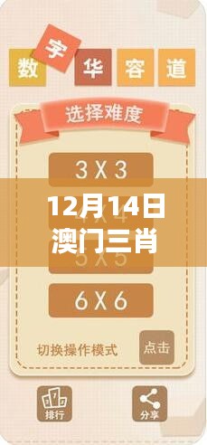12月14日澳门三肖三码精准100%黄大仙：黄大仙的数字游戏分析