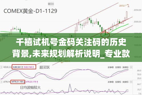 千禧试机号金码关注码的历史背景,未来规划解析说明_专业款19.133