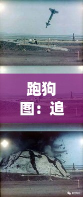 跑狗图：追逐自由的震撼瞬间