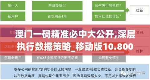 澳门一码精准必中大公开,深层执行数据策略_移动版10.800
