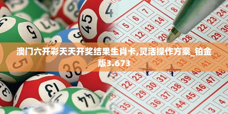 澳门六开彩天天开奖结果生肖卡,灵活操作方案_铂金版3.673