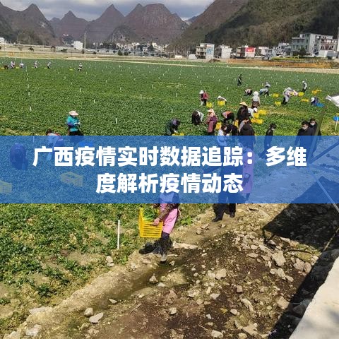 广西疫情实时数据追踪：多维度解析疫情动态