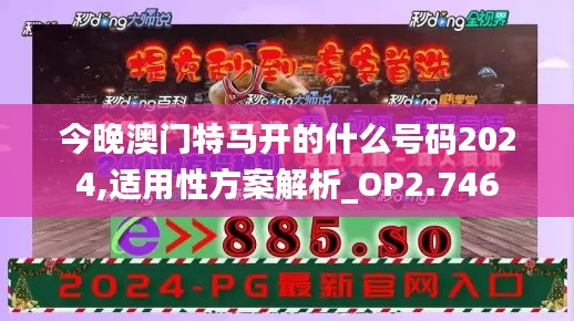 今晚澳门特马开的什么号码2024,适用性方案解析_OP2.746