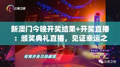 铺张浪费 第4页
