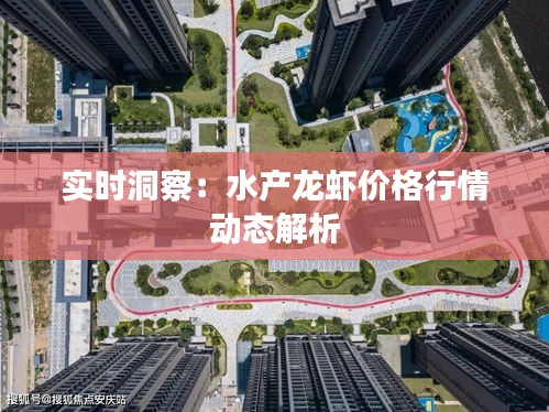 实时洞察：水产龙虾价格行情动态解析