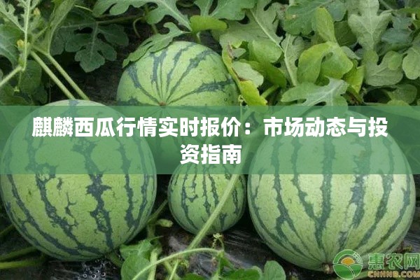 麒麟西瓜行情实时报价：市场动态与投资指南
