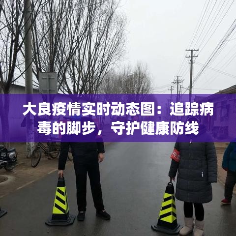 大良疫情实时动态图：追踪病毒的脚步，守护健康防线
