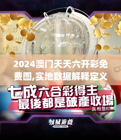 2024澳门天天六开彩免费图,实地数据解释定义_NE版5.314