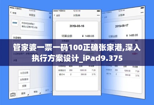 管家婆一票一码100正确张家港,深入执行方案设计_iPad9.375