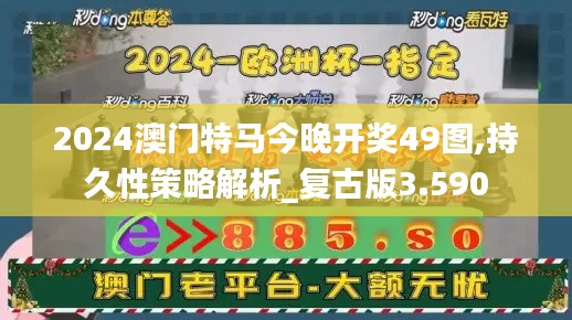 2024澳门特马今晚开奖49图,持久性策略解析_复古版3.590