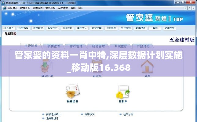 管家婆的资料一肖中特,深层数据计划实施_移动版16.368