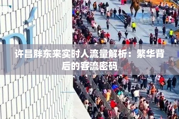 许昌胖东来实时人流量解析：繁华背后的客流密码
