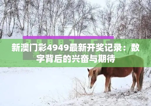 新澳门彩4949最新开奖记录：数字背后的兴奋与期待