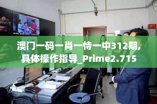 澳门一码一肖一恃一中312期,具体操作指导_Prime2.715