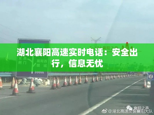长安米贵 第3页